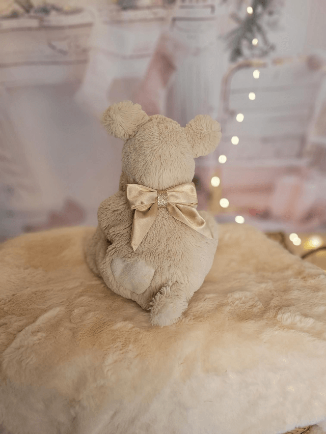 Barrette grand noeud beige 🌟✨️