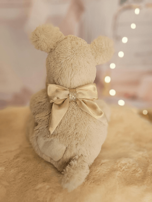 Barrette grand noeud beige 🌟✨️