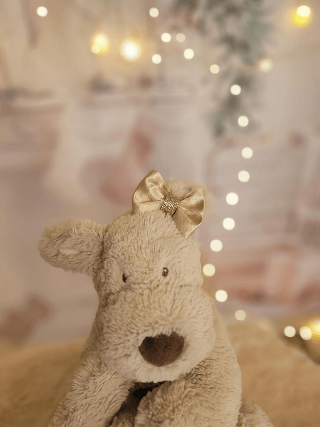 Grande barrette beige 🤎
