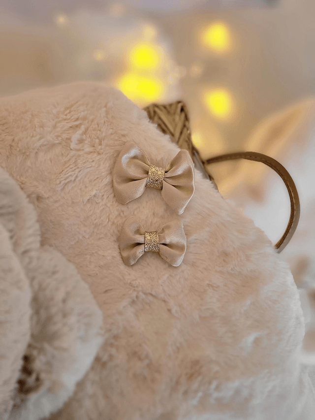Grande barrette beige 🤎
