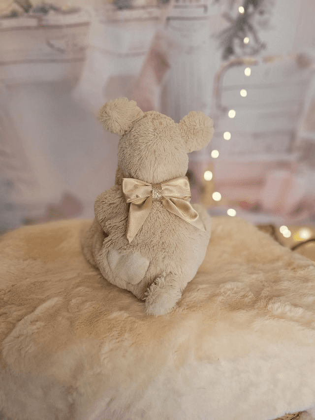 Barrette grand noeud beige 🌟✨️